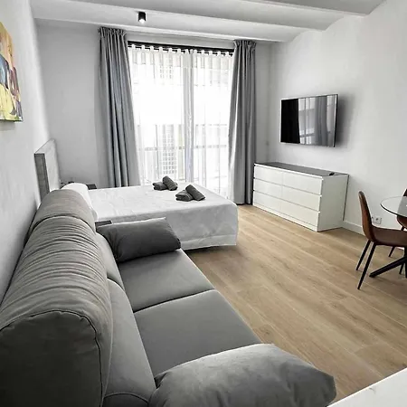 A H Picasso Apartment Vinaros
